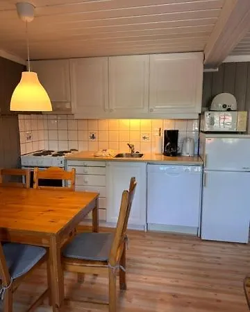 Vikinggrenda 9 *