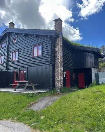 Tatil Evi Vikinggrenda 9 *